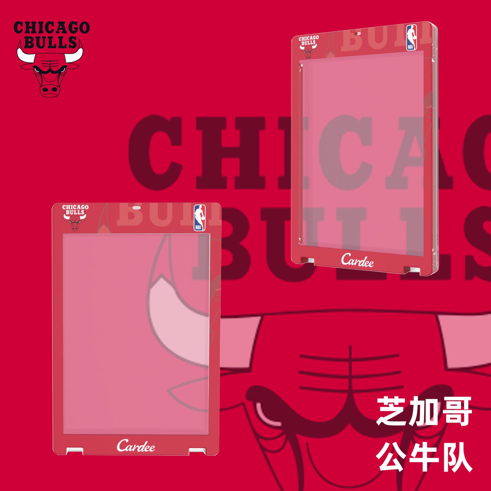 Cardee NBA Eastern Team Card Brick