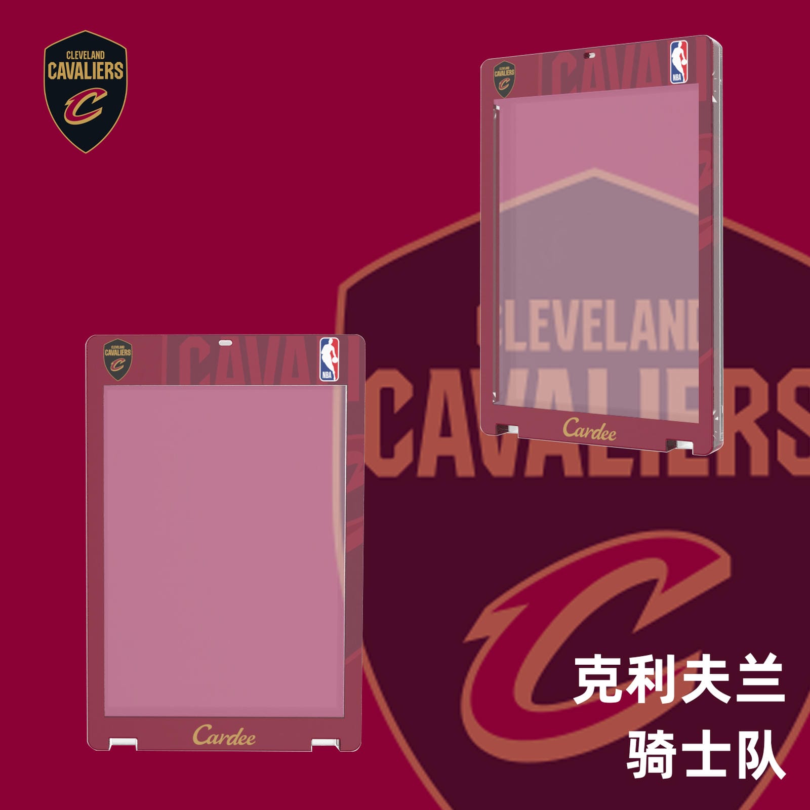 Cardee NBA Eastern Team Card Brick