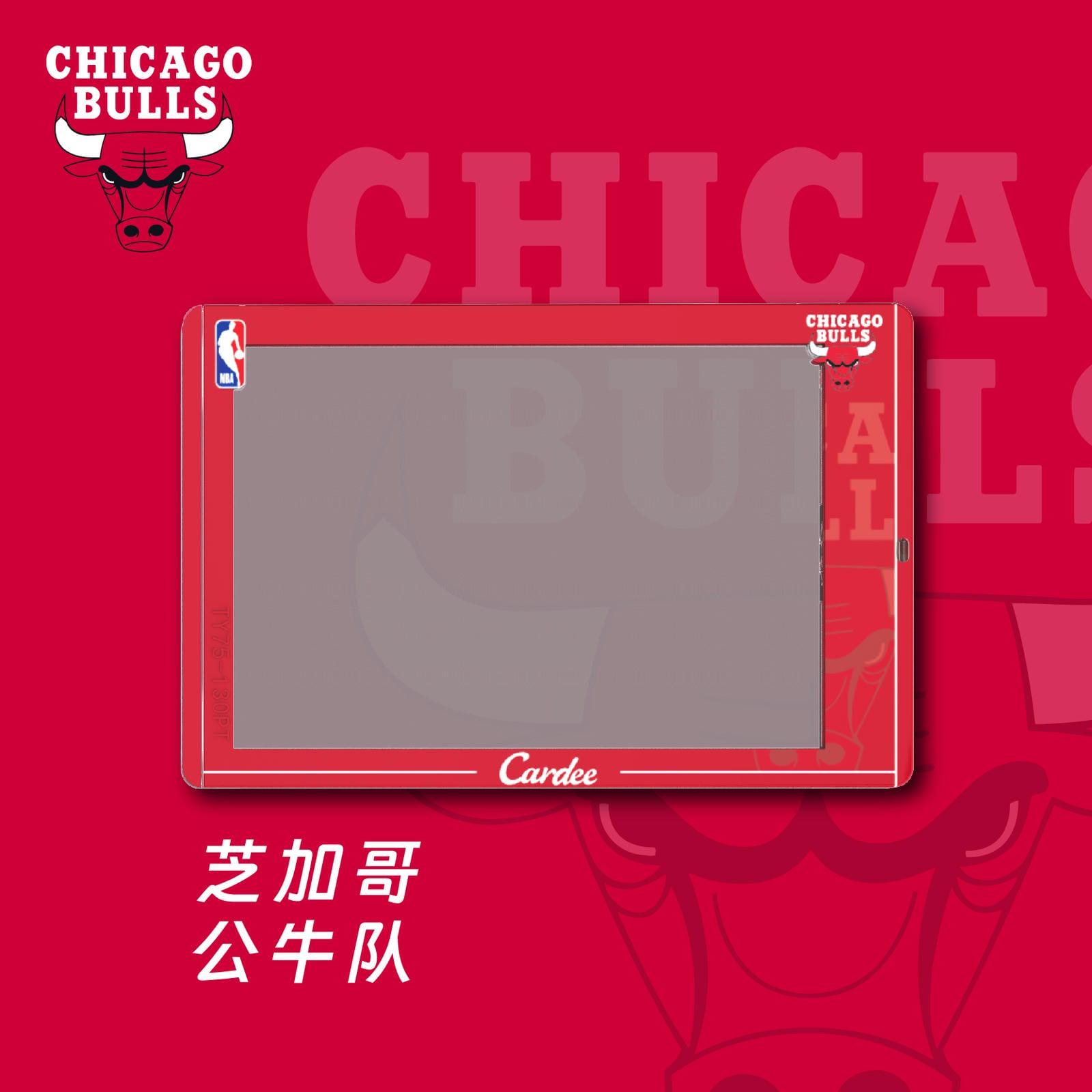 Cardee NBA Eastern Team Horizontal Card Brick