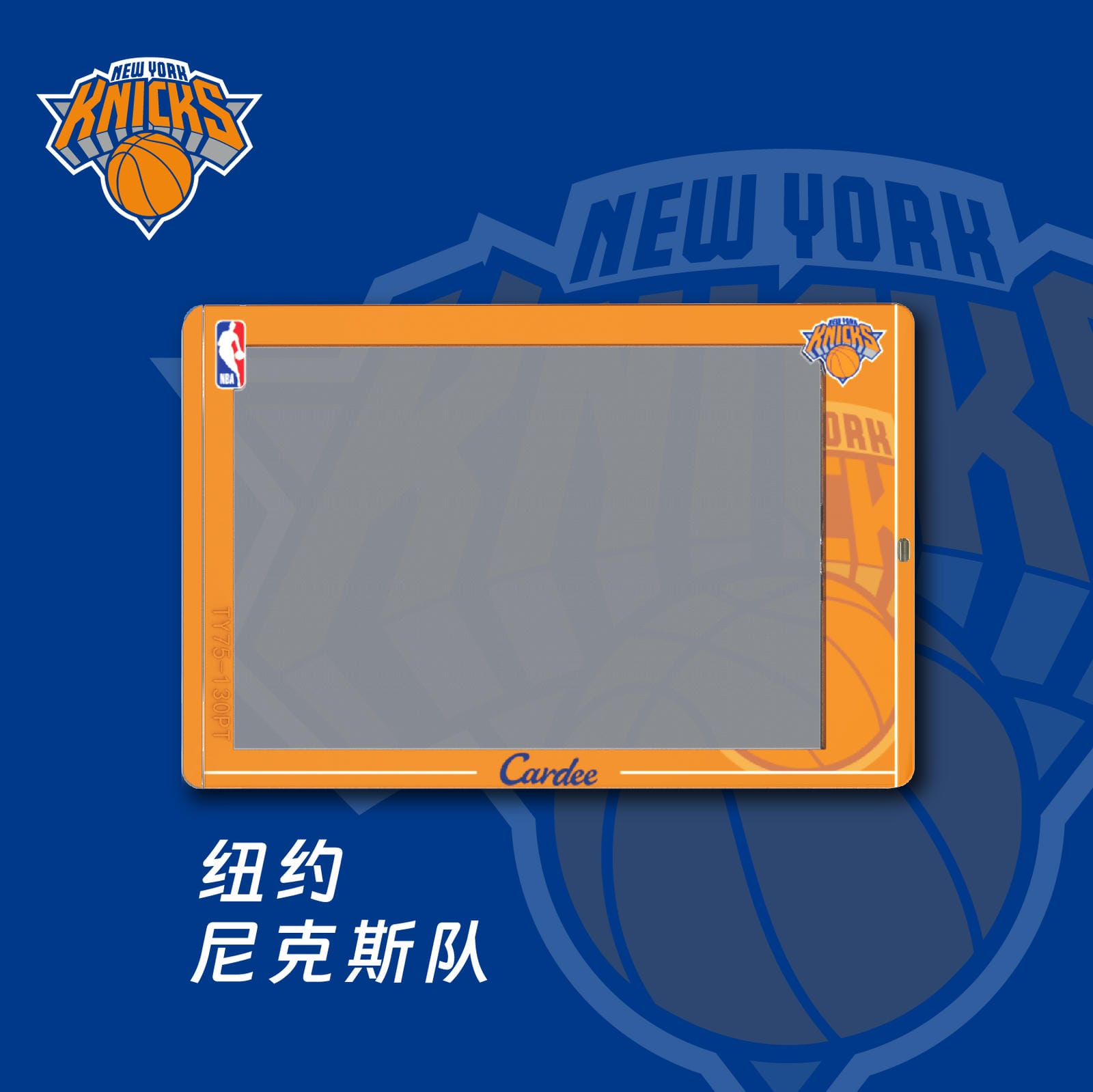 Cardee NBA Eastern Team Horizontal Card Brick