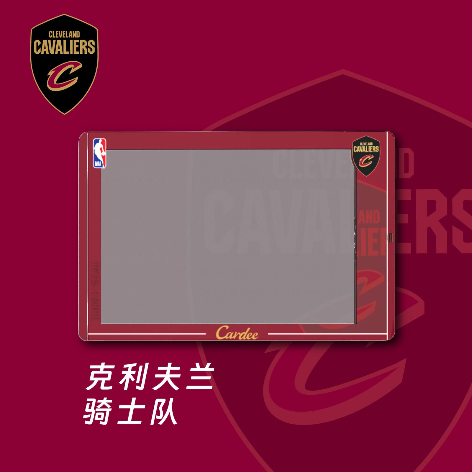 Cardee NBA Eastern Team Horizontal Card Brick