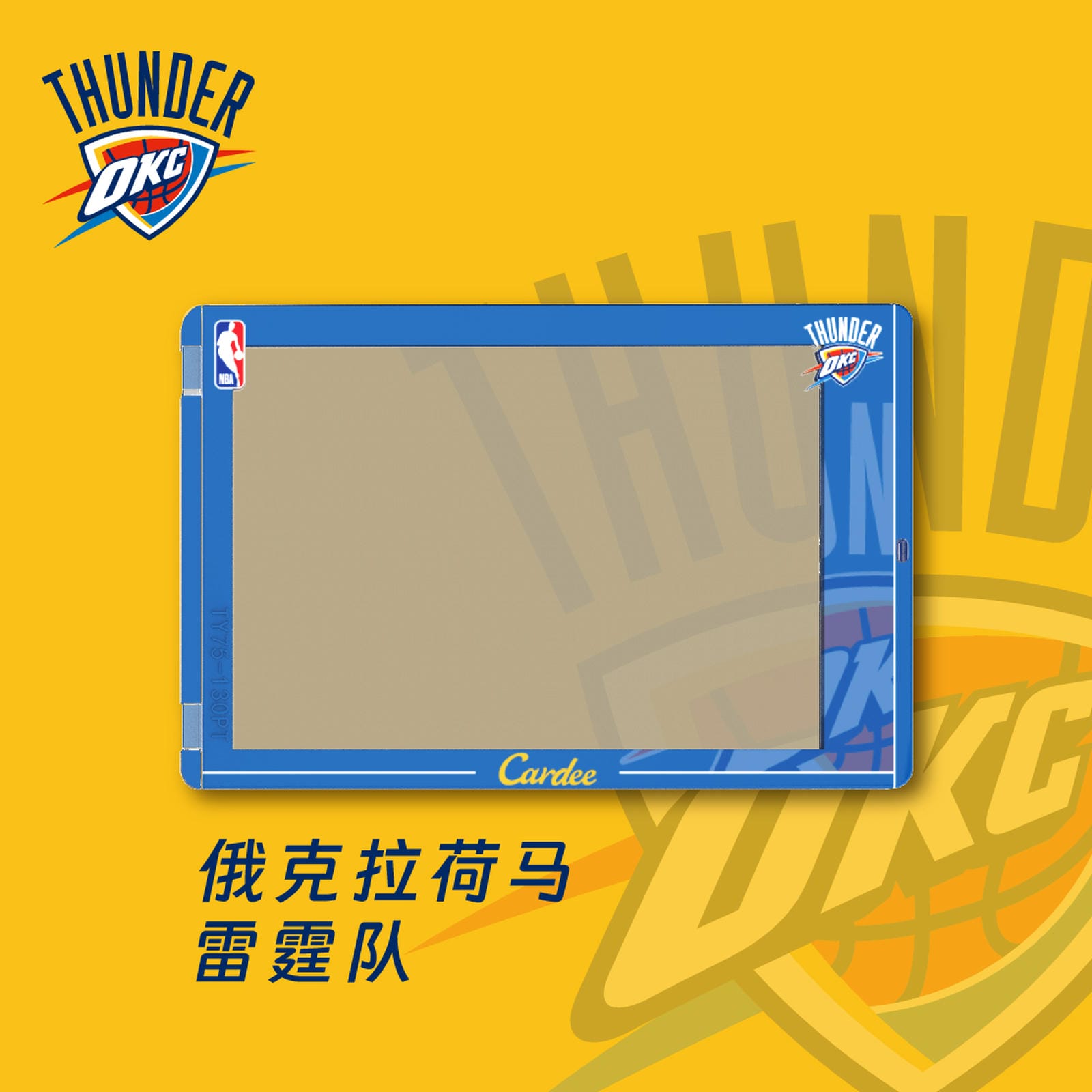 Cardee NBA Western Team Horizontal Card Brick